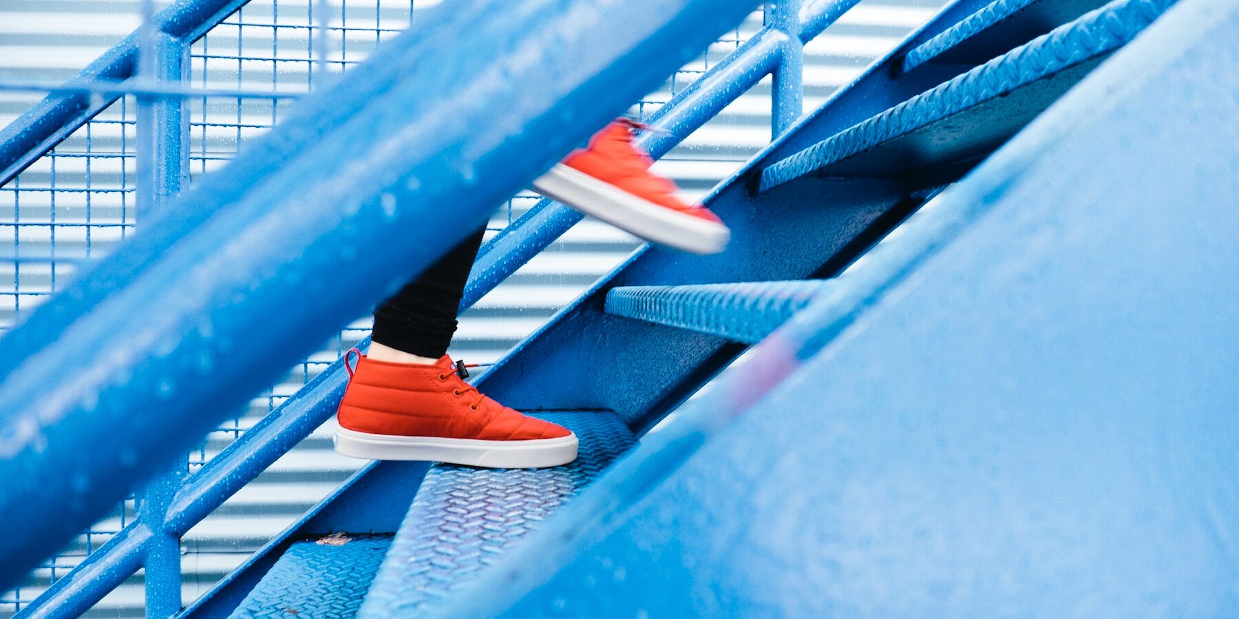 lindsay-henwood-47743-unsplash